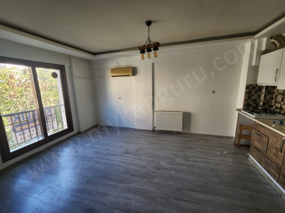 Cuma Mah. Efeler Kiralık Daire |  1+1 Oda | 55M2 Aylık 12.500Tl | 2. Kat | Doğalgaz(Kombi) | 1 Banyo Resim-2