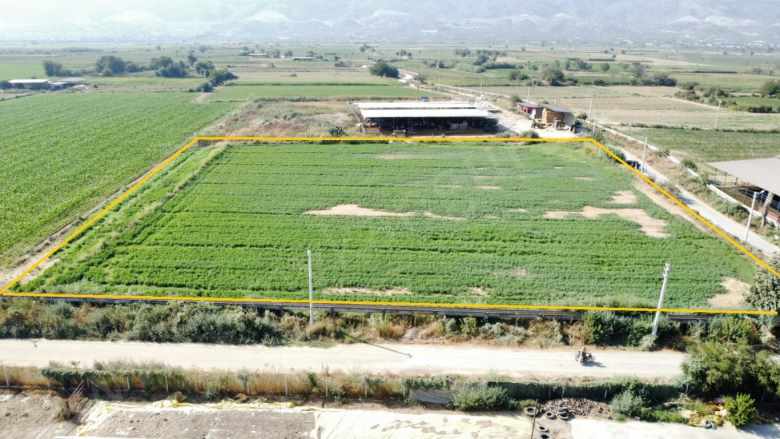 Satılık Tarla Köşk Çiftlik Mahallesinde 11 097 M² Çiftlikköy Mah