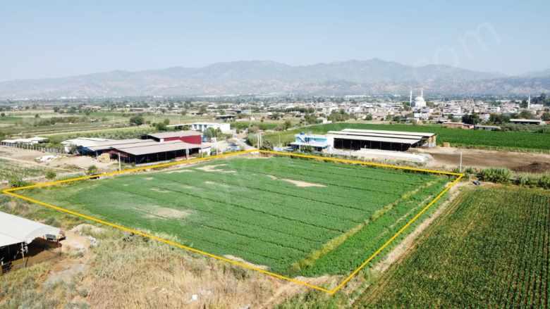Satılık Tarla Köşk Çiftlik Mahallesinde 11 097 M² Çiftlikköy Mah
