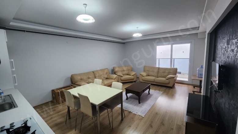 Zafer Mah. Efeler Kiralık Daire |  1+1 Oda | 55M2 Aylık 18.000Tl Eşyalı  | Zemin Kat | Doğalgaz(Kombi) | 1 Banyo Resim-4