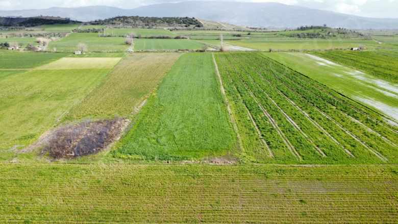 Satılık Tarla Çine Saraçlarda 7 068 57 M² Saraçlar Mah