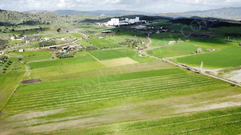 Satılık Tarla Çine Saraçlarda 7 068 57 M² Saraçlar Mah