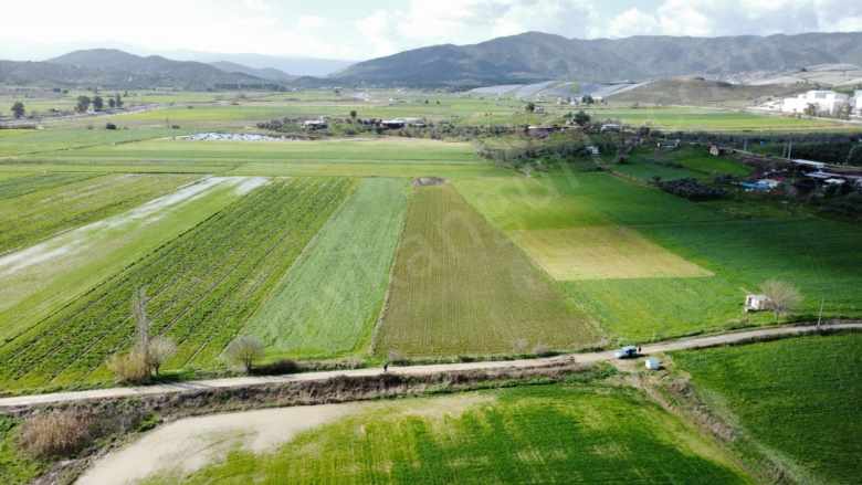 Satılık Tarla Çine Saraçlarda 7 068 57 M² Saraçlar Mah