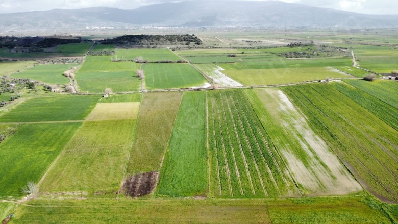 Saraçlar Mah. Çine Satılık Tarla |  7068M2 3.450.000Tl Resim-4