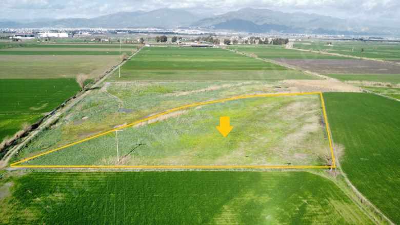 Satılık Tarla Efeler Çeştepede 8409 M² Çeştepe Mah