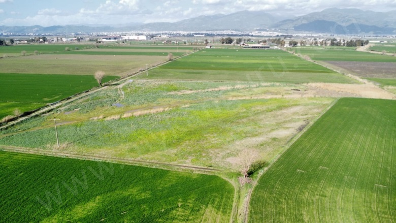 Çeştepe Mah. Efeler Satılık Tarla |  8409M2 6.900.000Tl Resim-5