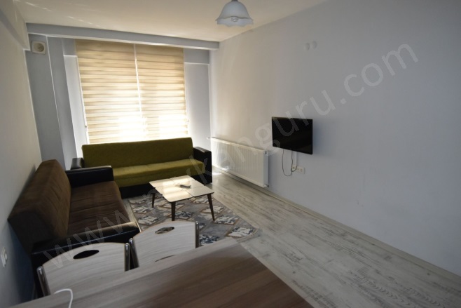 Orta Mah. Efeler Satılık Daire |  1+1 Oda | 60M2 2.600.000Tl  Krediye Uygun  Eşyalı  | 1. Kat | Doğalgaz(Kombi) | 1 Banyo Resim-5