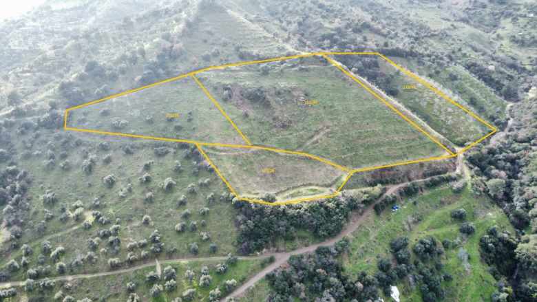 Satılık Bağ Gölcük Mahallesinde 5884M² incir Bahçesi Efeler