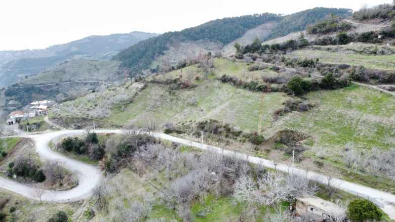 Satılık Bağ Gölcük Mahallesinnde 6953M² incir Bahçesi Efeler