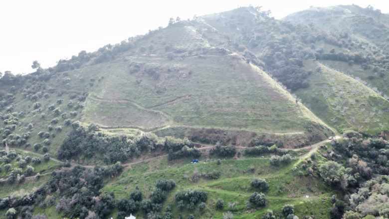 Satılık Bağ Gölcük Mahallesinde 3665 M² incir Bahçesi Efeler