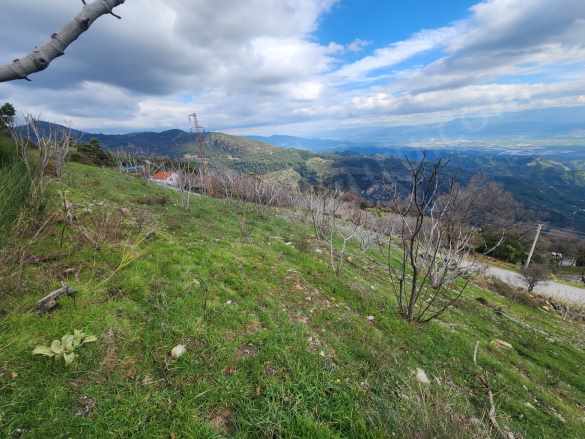 Satılık Bağ Gölcük Mahallesinde 3665 M² incir Bahçesi Efeler