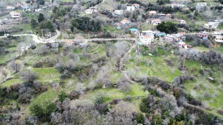 Satılık Bağ Efeler Gölcükte 4352 M² incir Bahçesi Gölcük Mah