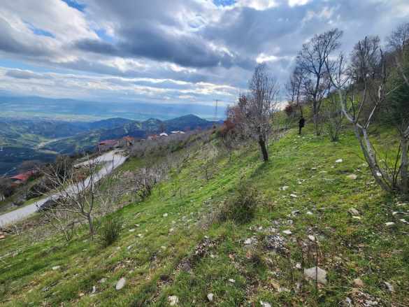 Satılık Bağ Efeler Gölcük Mahde 5507M² incir Bahçesi