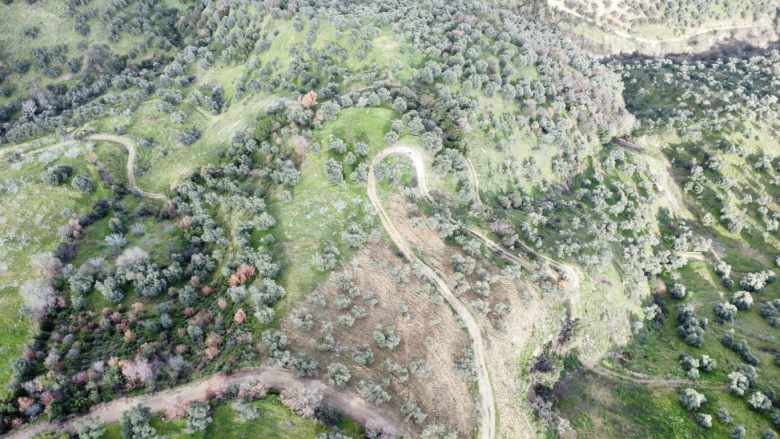 Satılık Bağ Efeler Gölcük Mahde 5507M² incir Bahçesi