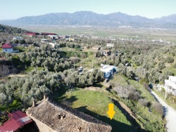 Efeler Kozalaklı Mah. Satılık Arsa 388 M2