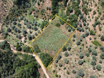 Satılık Arsa Efeler Çayyüzünde 3 222 M² Zeytinlik (Son 1 Ay) Çayyüzü Mah