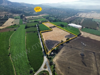 Satılık Tarla Çine Dorumlarda 28 830M Yola Sıfır Dorumlar Mah