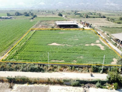 Satılık Tarla Köşk Çiftlik Mahallesinde 11 097 M² Çiftlikköy Mah