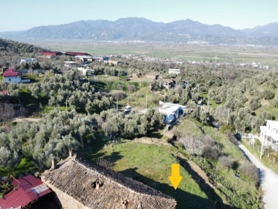 Satılık Arsa Kozalaklıda 388Mköy İçi Avlulu Kargir Ev Efeler Kozalaklı Mah