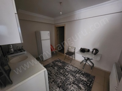 Kiralık Daire Zafer Mahde 1+1 60 M² Eşyalı Efeler Mah