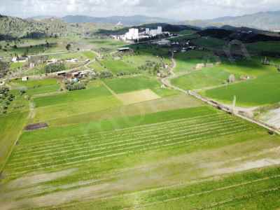 Ackerland Kaufen In  Türkei, Aydin, Cine, Saraclar Str. , 7068 m2