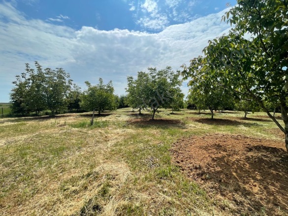 Paşa Mah-Büyükmandıra Köyü. Babaeski Satılık Tarla |  22100M2 4.500.000Tl İmarlı  Resim-4