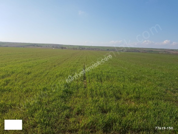 Asılbeyli Köyü Kırklareli Satılık Tarla |  1200000M2 600.000.000Tl İmarlı  Resim-1
