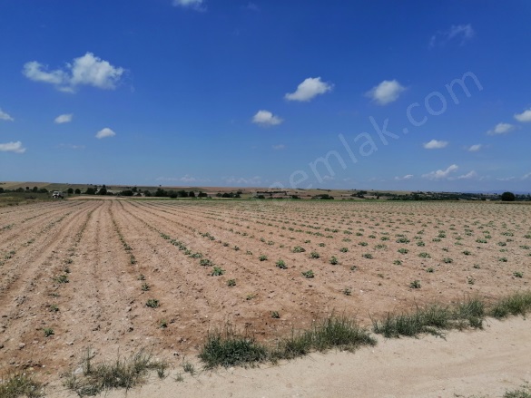 Asılbeyli Köyü Kırklareli Satılık Tarla |  1200000M2 600.000.000Tl İmarlı  Resim-3