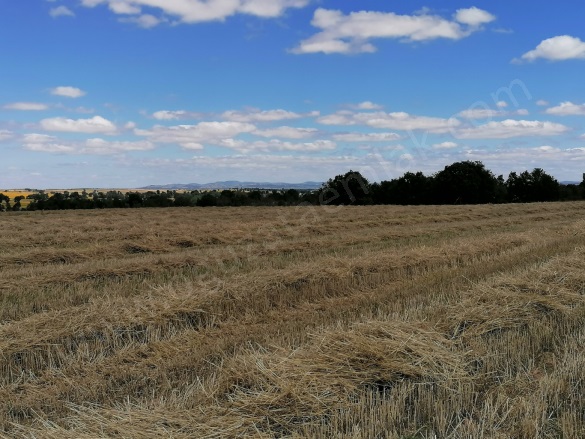 Asılbeyli Köyü Kırklareli Satılık Tarla |  1200000M2 600.000.000Tl İmarlı  Resim-5