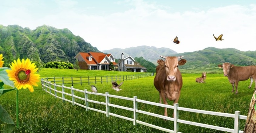 Kavakdere Köyü Kırklareli Satılık Arazi |  800000M2 765.000.000Tl İmarlı  Resim-1