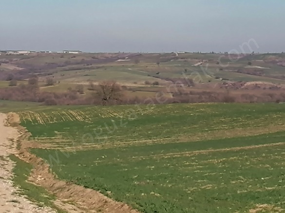 Sarpdere Köyü İpsala Satılık Arazi |  180000M2 72.000.000Tl Resim-2