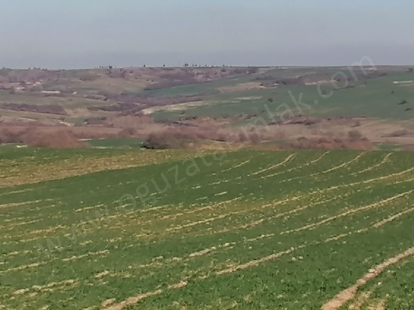 Sarpdere Köyü İpsala Satılık Arazi |  180000M2 72.000.000Tl Resim-3