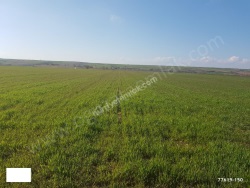 Merkez Asılbeyli Köyü Satılık Arsa 1200000 M2