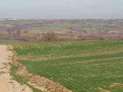 Keşan Boztepe Köyü Satılık Arazi 220000 M2