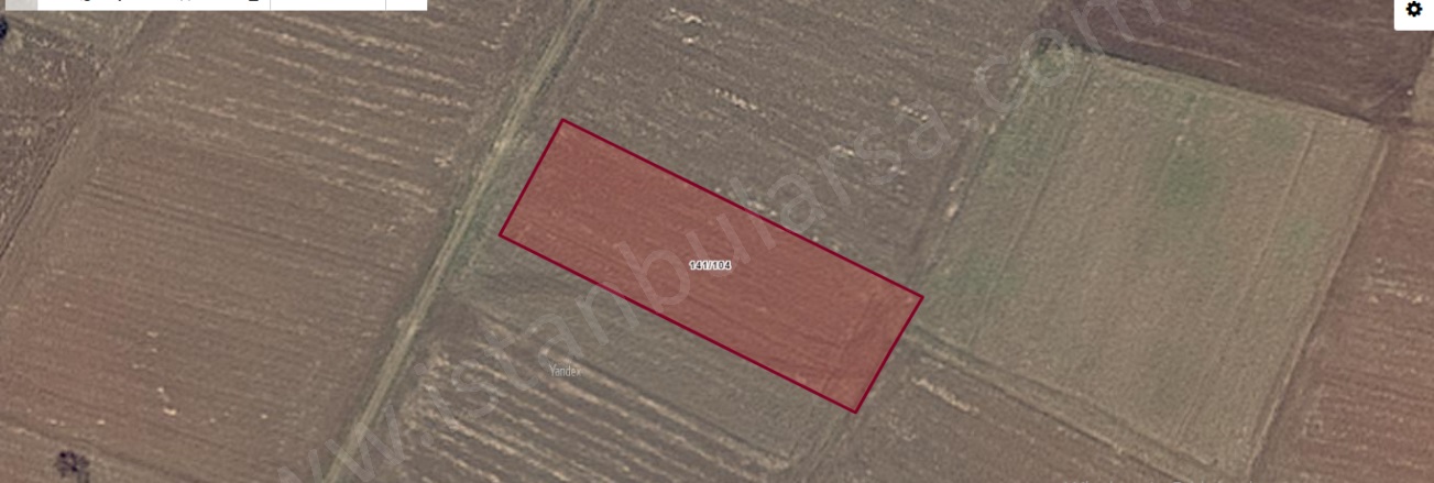 Sütlüce Köyü Pınarhisar Satılık Tarla |  2400M2 1.100.000Tl Resim-1