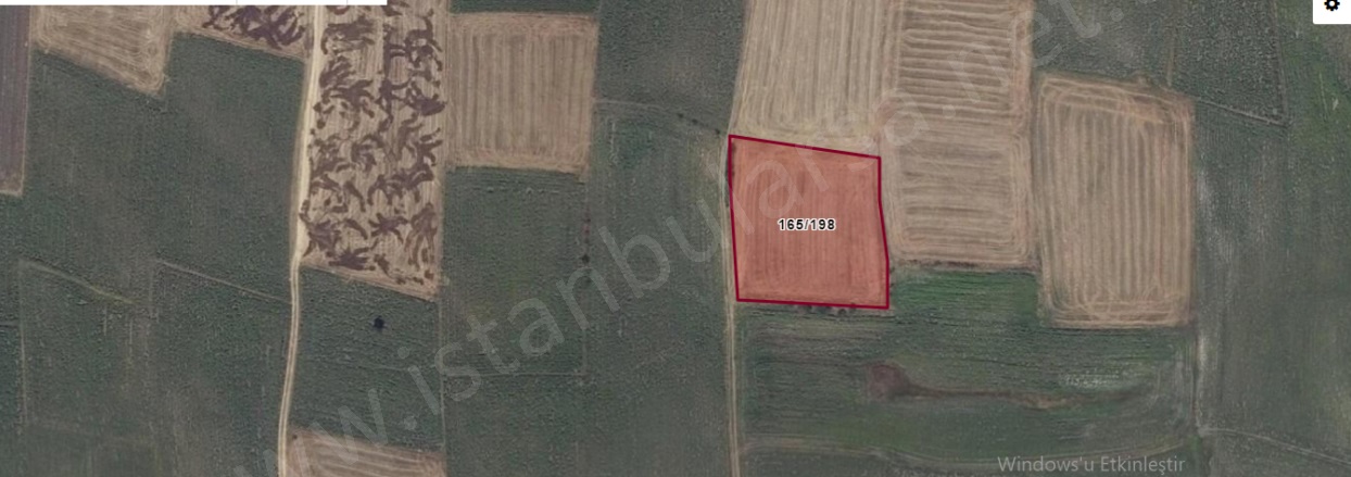 Şalgamlı Mah. Hayrabolu Satılık Tarla |  4738M2 760.000Tl Resim-3