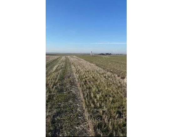 Demirhanlı Köyü Edirne Satılık Tarla |  261M2 130.000Tl Resim-5