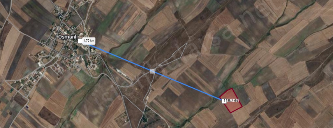 Osmanlı Mah. Saray Satılık Tarla |  2954M2 862.000Tl Resim-3