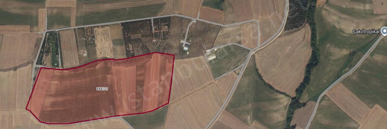 Çeşmeli Mah. Marmaraereğlisi Satılık Tarla |  242M2 227.000Tl Resim-5