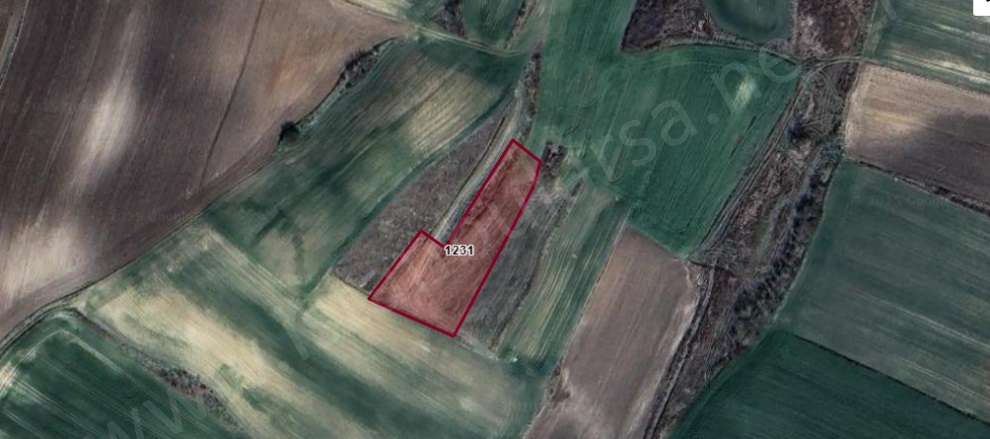 Ayvalı Köyü Lüleburgaz Satılık Tarla |  270M2 201.000Tl Resim-1