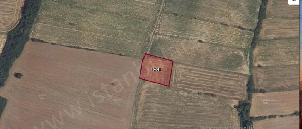 Danişment Mah. Hayrabolu Satılık Tarla |  2000M2 1.100.000Tl Resim-1