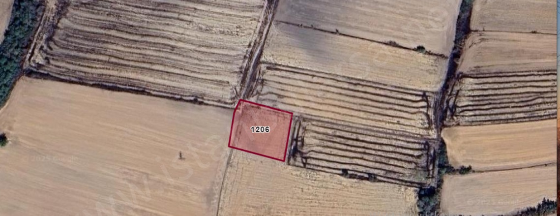 Danişment Mah. Hayrabolu Satılık Tarla |  2000M2 1.100.000Tl Resim-4