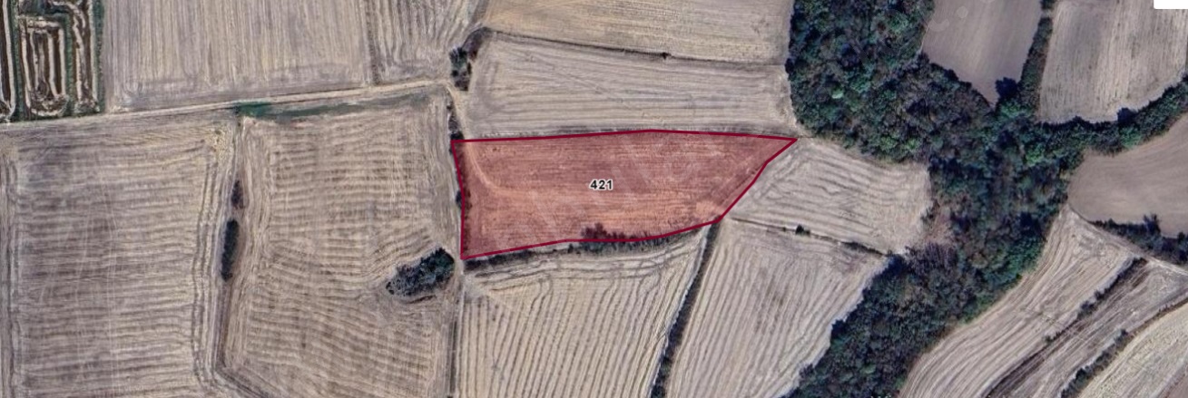 Bakışlar Köyü Havsa Satılık Tarla |  1327M2 280.000Tl Resim-5