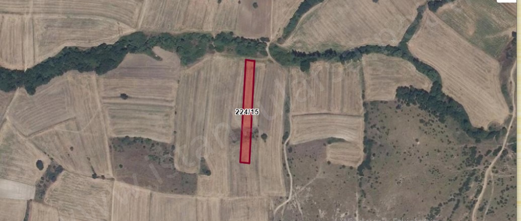 Kavacık Köyü Uzunköprü Satılık Tarla |  2811M2 977.000Tl Resim-4