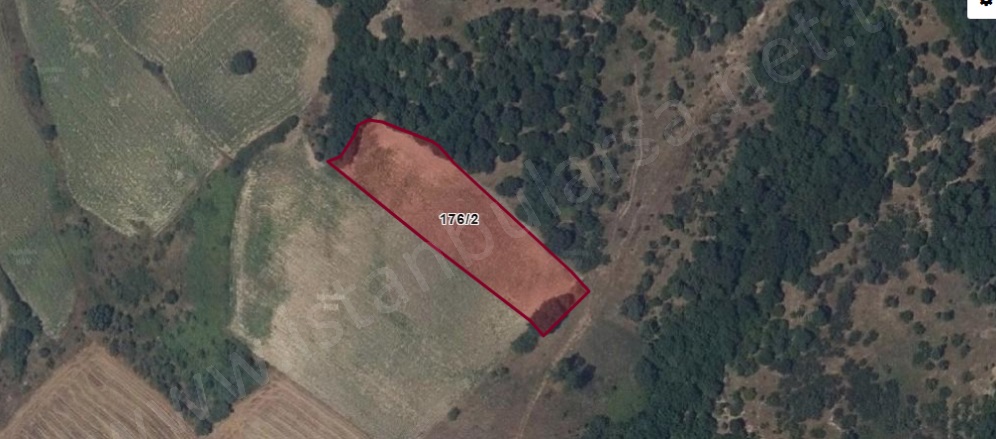 Hamidiye Köyü Uzunköprü Satılık Tarla |  2540M2 900.000Tl Resim-3