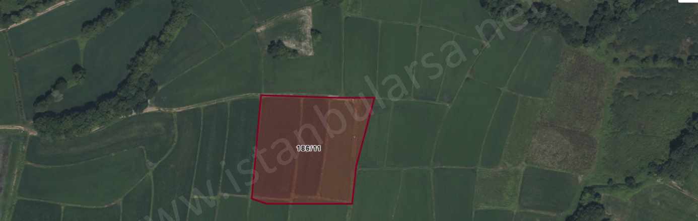 Çatalca Çiftlikköyde Satılık Tarla Arsa 220 M2 Çaplı Yolu Var Çiftlikköy Mah
