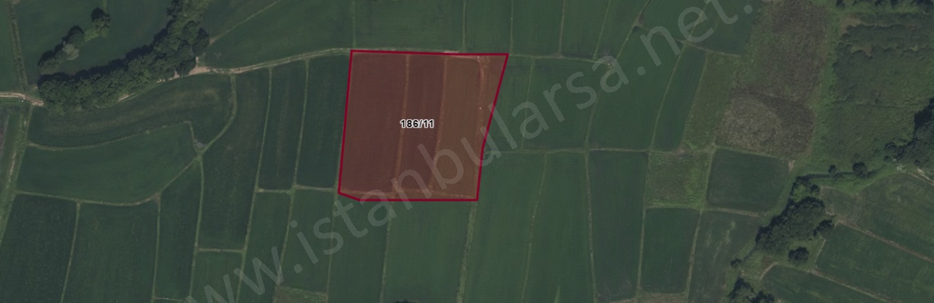 Çiftlikköy Mah. Çatalca Satılık Tarla |  220M2 385.000Tl Resim-4
