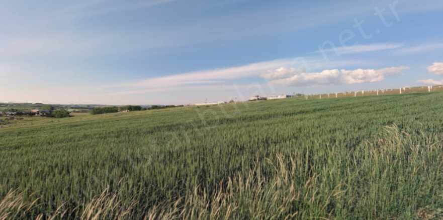 Arnavutköy Hacımaşlı Satılık Tarla Arsa 161 M2 Evlerin Yakını Yolu Var Mah