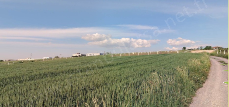 Hacımaşlı Mah. Arnavutköy Satılık Tarla |  161M2 1.100.000Tl Resim-3