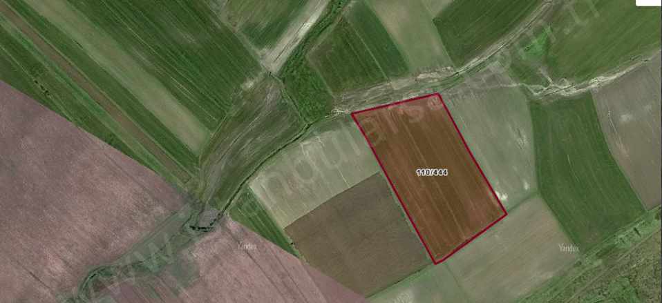 Tekirdağ Saray Osmanlı Köyünde Satılık Tarla Arsa 1 966 M2 Yolu Var Hisseli Mah